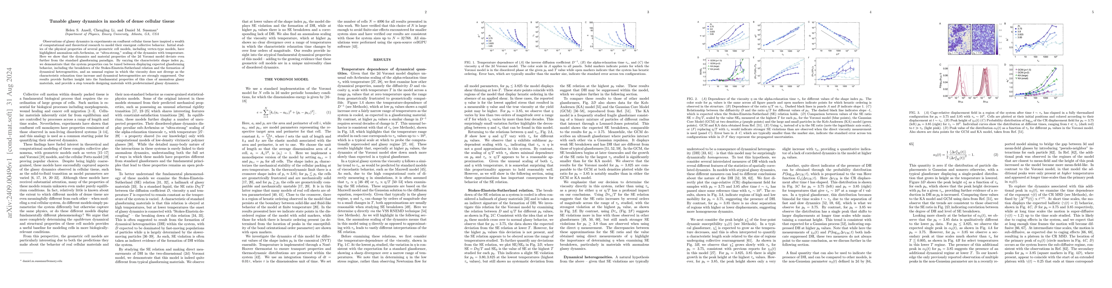 Thumbnail for Tunable glassy dynamics in models of dense cellular tissue