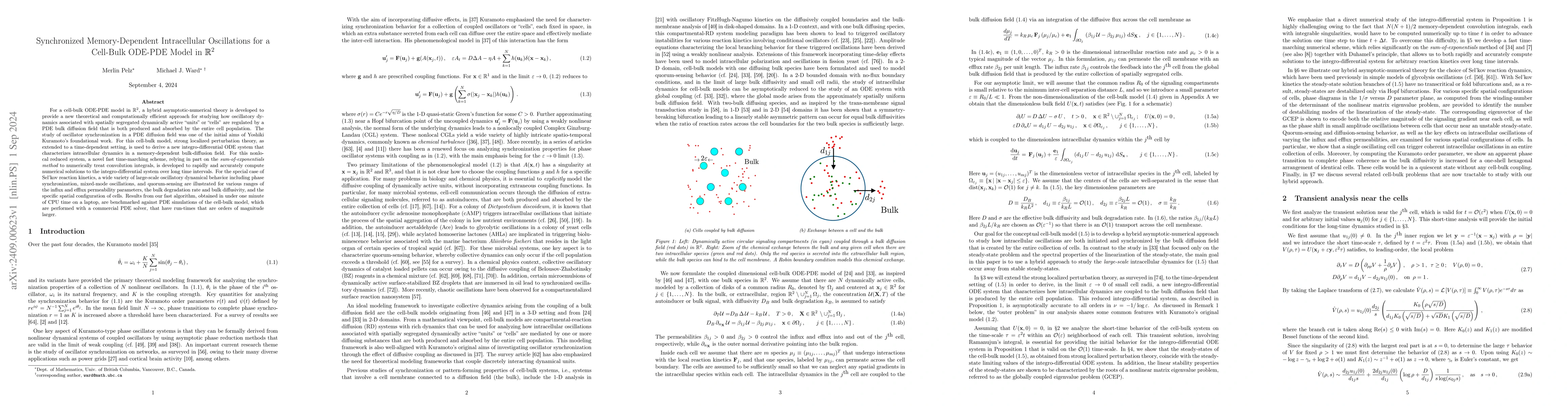 Thumbnail for Synchronized Memory-Dependent Intracellular Oscillations for a Cell-Bulk
  ODE-PDE Model in $\mathbb{R}^2$