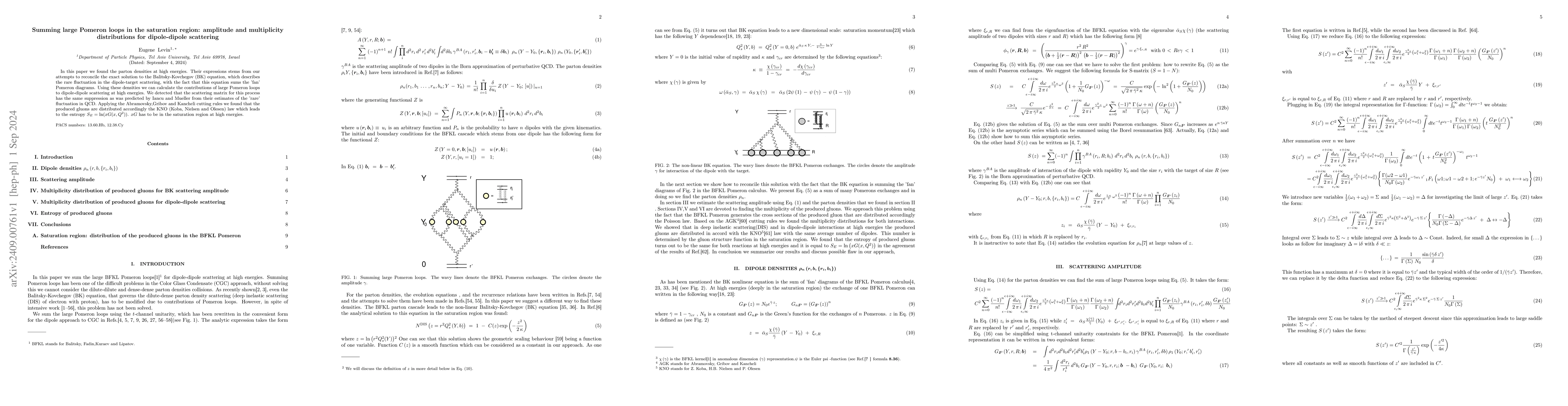 Thumbnail for Summing large Pomeron loops in the saturation region: amplitude and
  multiplicity distributions for dipole-dipole scattering