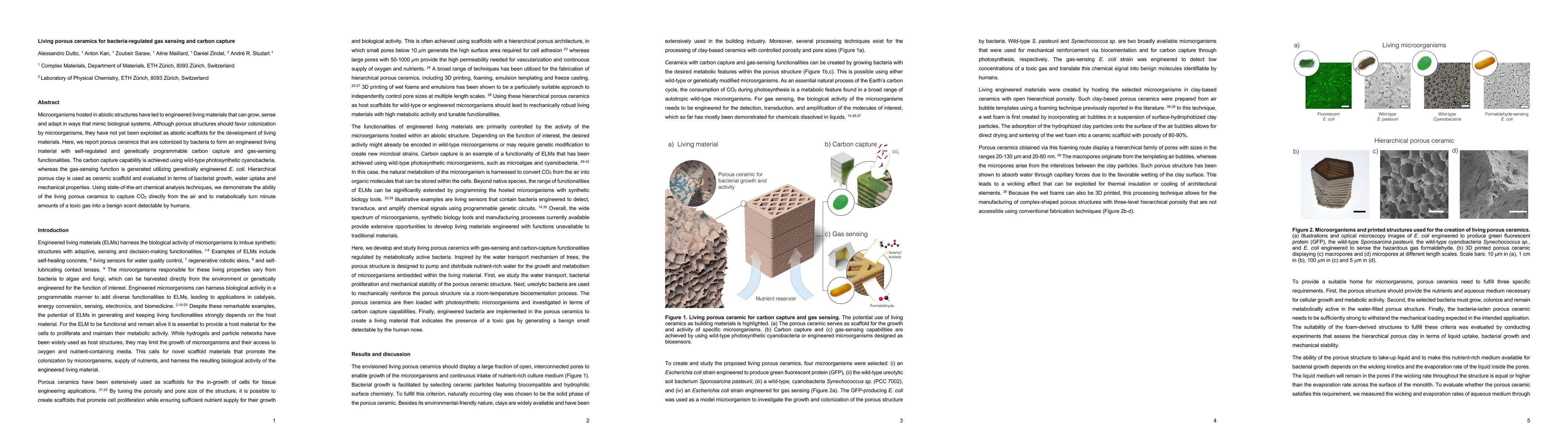 Thumbnail for Living porous ceramics for bacteria-regulated gas sensing and carbon
  capture