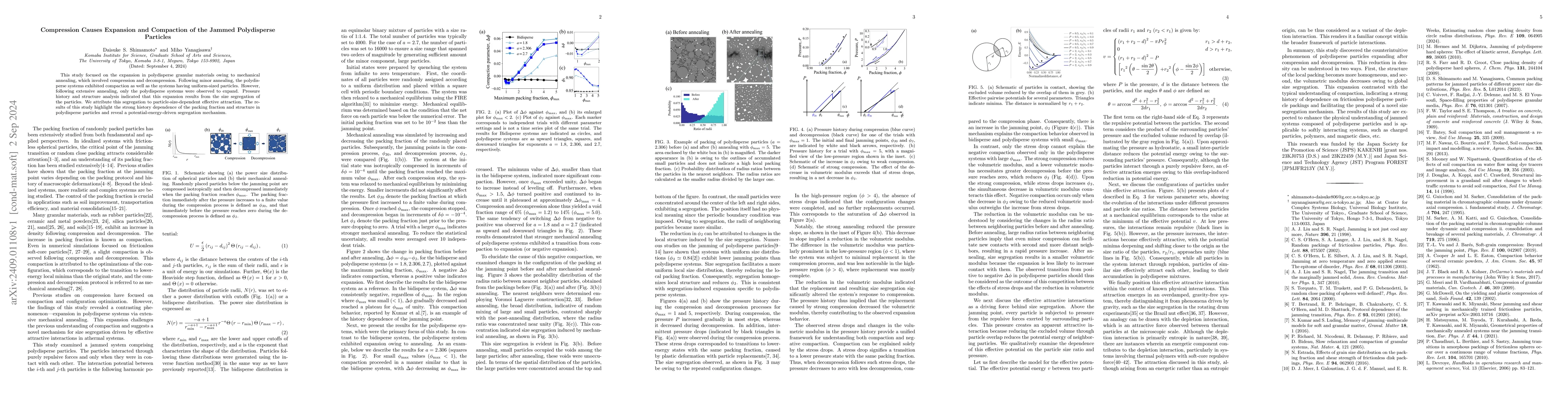 Thumbnail for Compression Causes Expansion and Compaction of the Jammed Polydisperse
  Particles