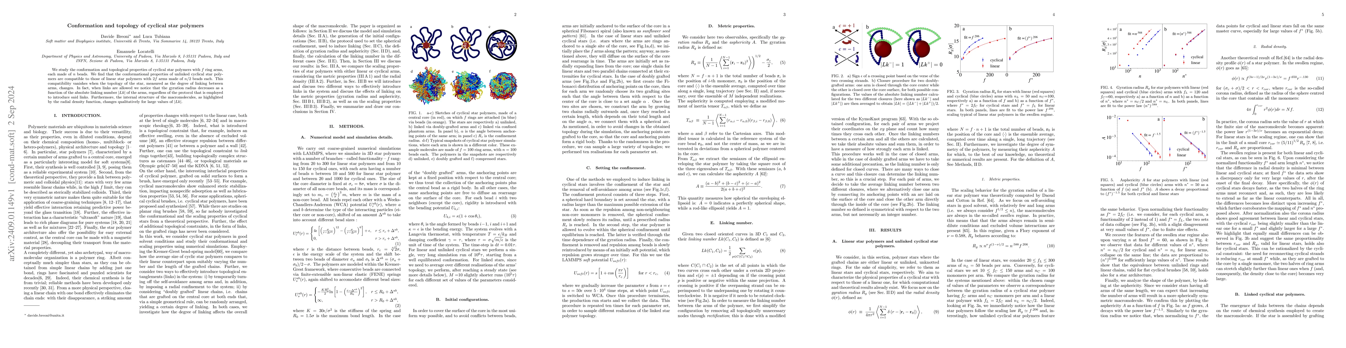Thumbnail for Conformation and topology of cyclical star polymers
