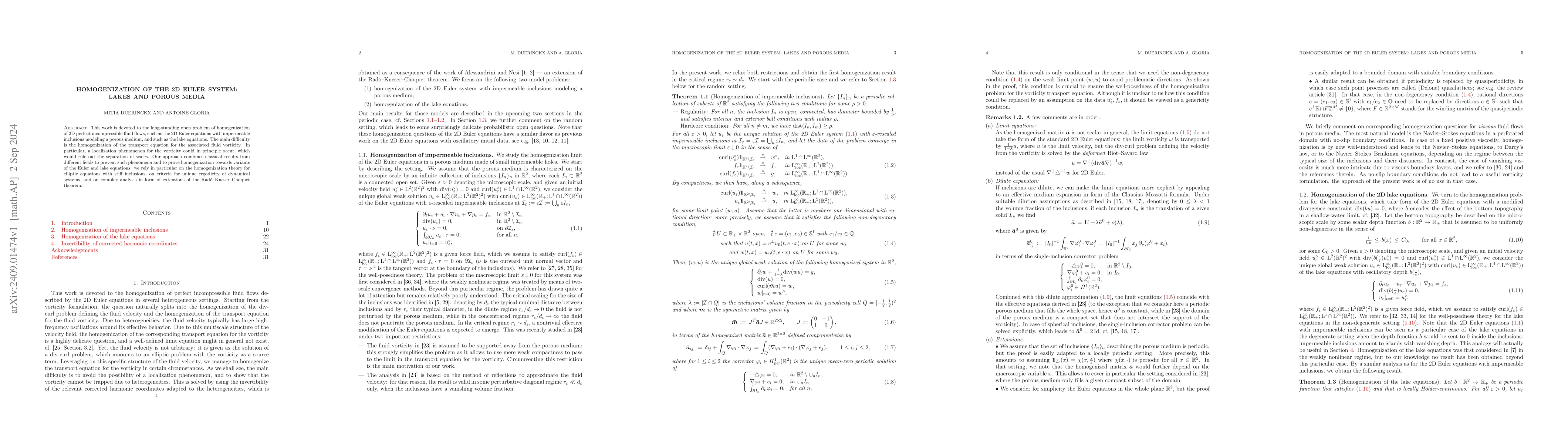 Thumbnail for Homogenization of the 2D Euler system: lakes and porous media