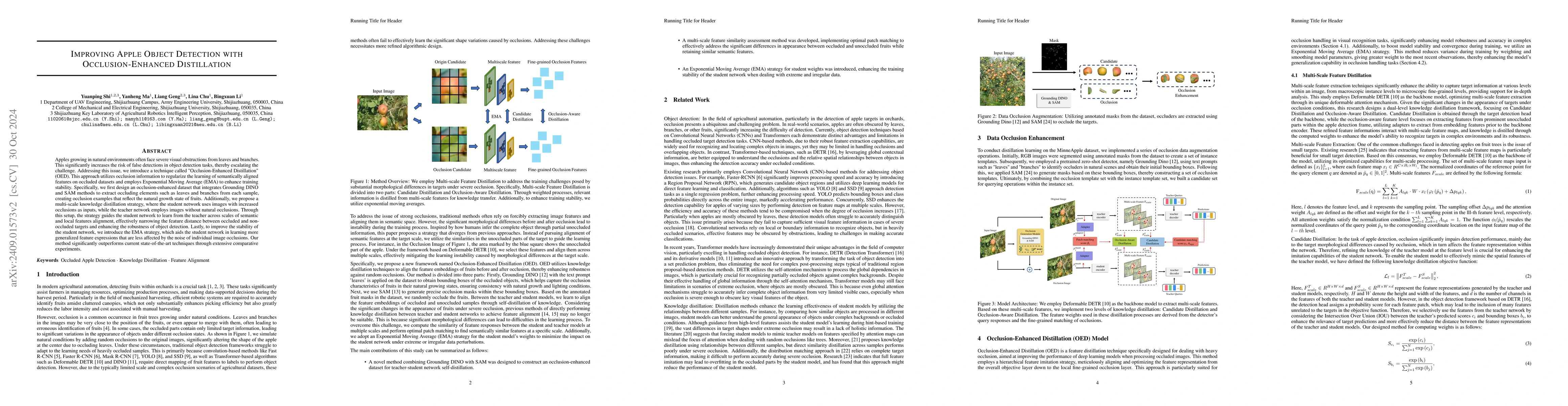 Thumbnail for Improving Apple Object Detection with Occlusion-Enhanced Distillation