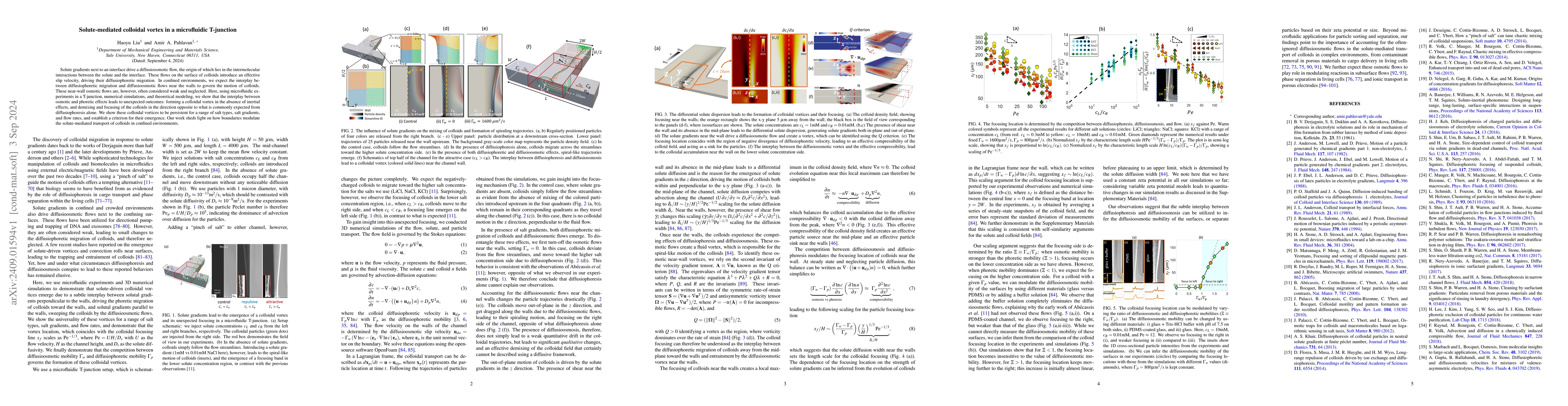 Thumbnail for Solute-mediated colloidal vortex in a microfluidic T-junction