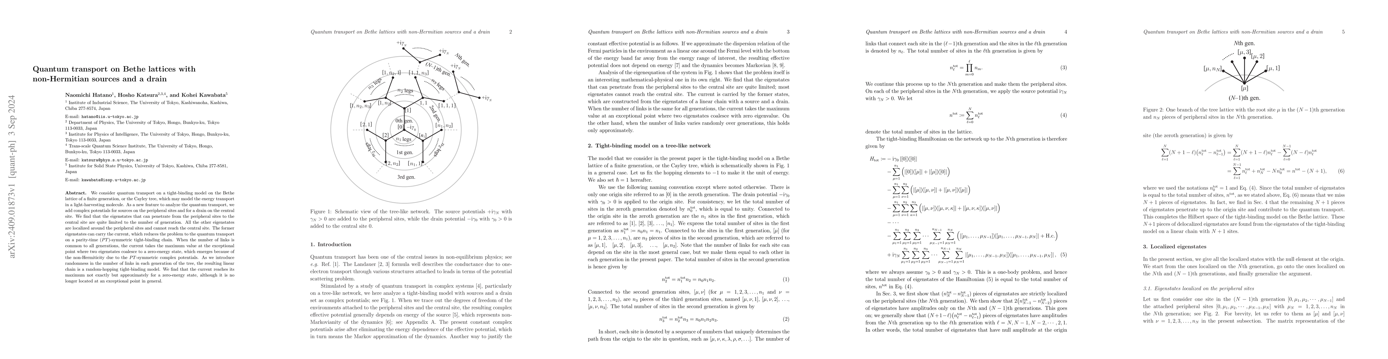 Thumbnail for Quantum transport on Bethe lattices with non-Hermitian sources and a
  drain