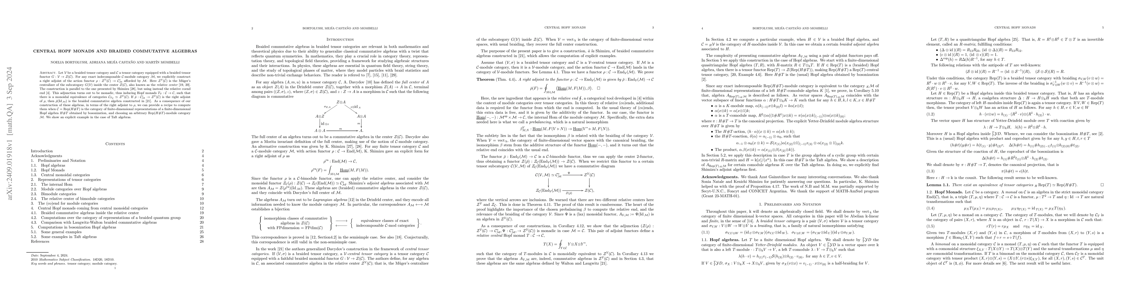 Thumbnail for Central Hopf Monads and Braided Commutative Algebras