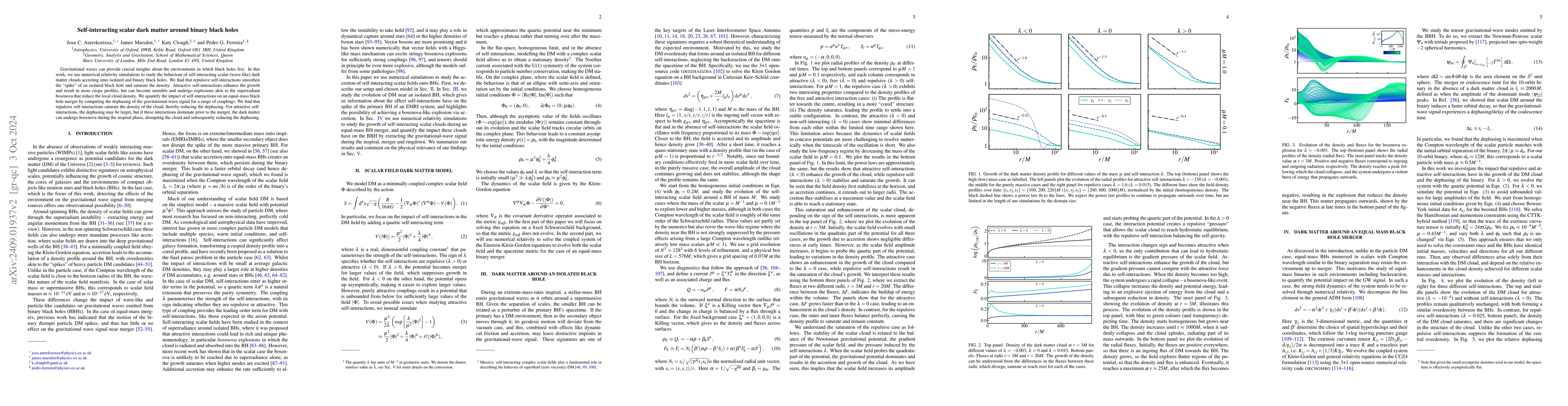 Thumbnail for Self-interacting scalar dark matter around binary black holes