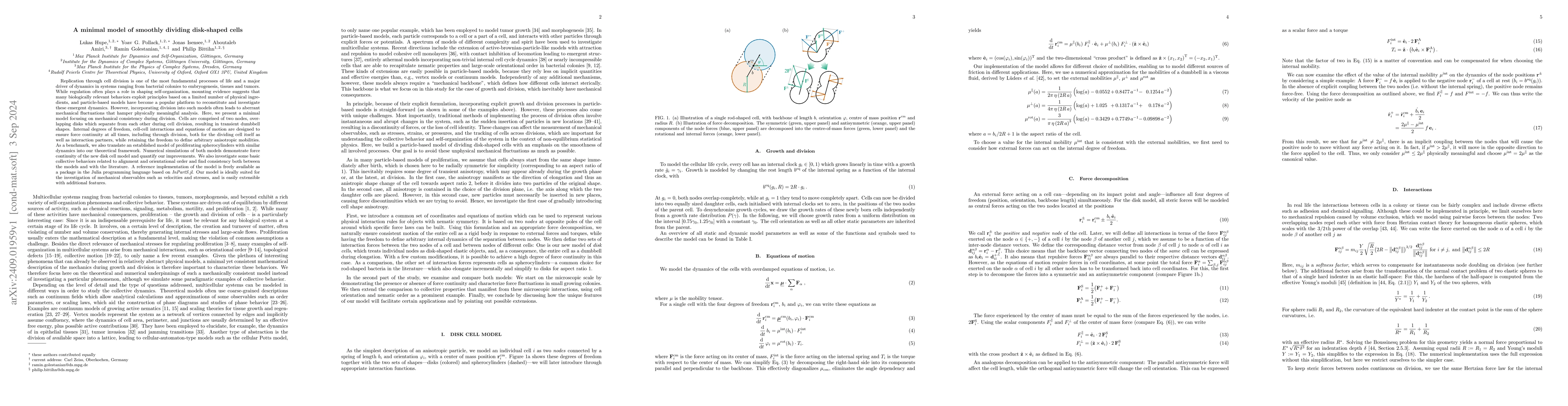 Thumbnail for A minimal model of smoothly dividing disk-shaped cells