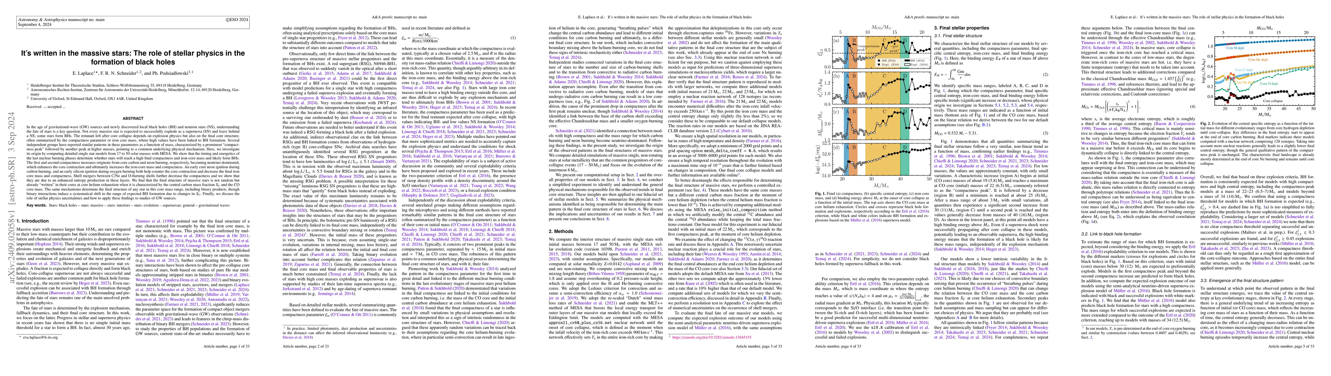 Thumbnail for It's written in the massive stars: The role of stellar physics in the
  formation of black holes