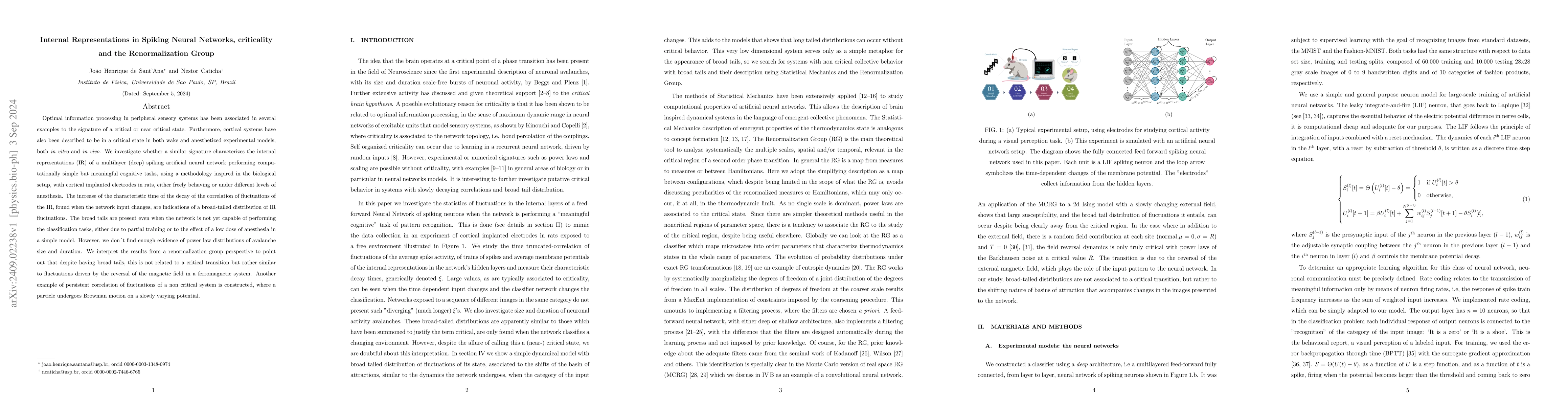 Thumbnail for Internal Representations in Spiking Neural Networks, criticality and the
  Renormalization Group