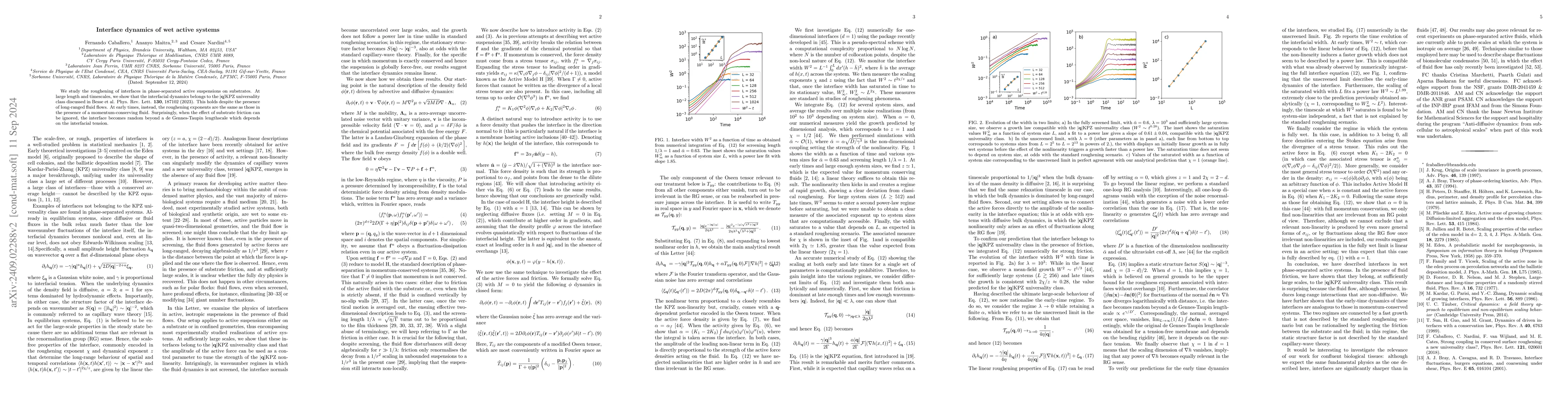 Thumbnail for Interface dynamics of wet active systems