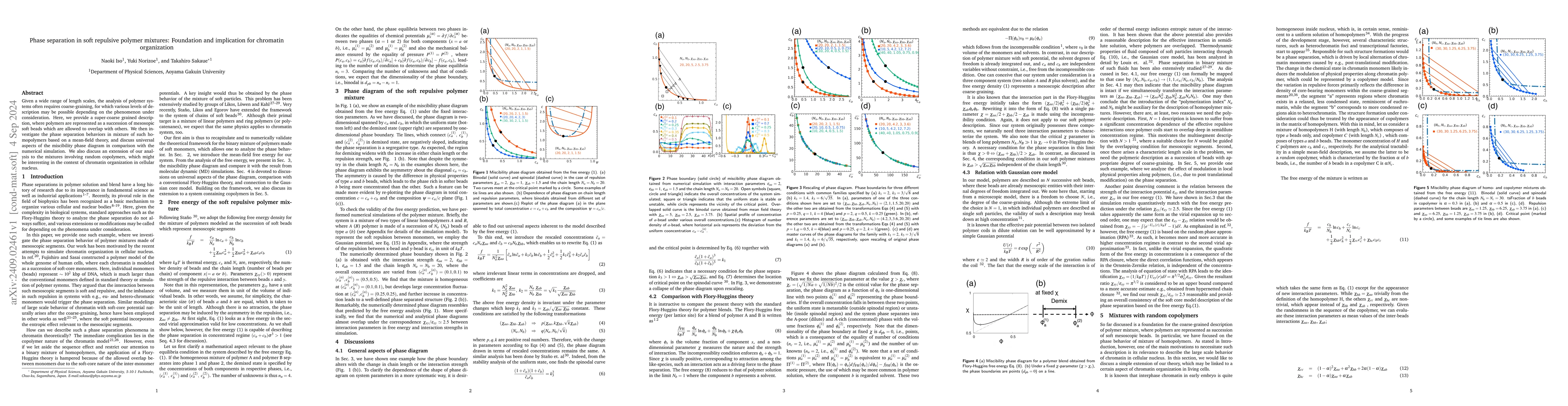 Thumbnail for Phase separation in soft repulsive polymer mixtures: foundation and
  implication for chromatin organization