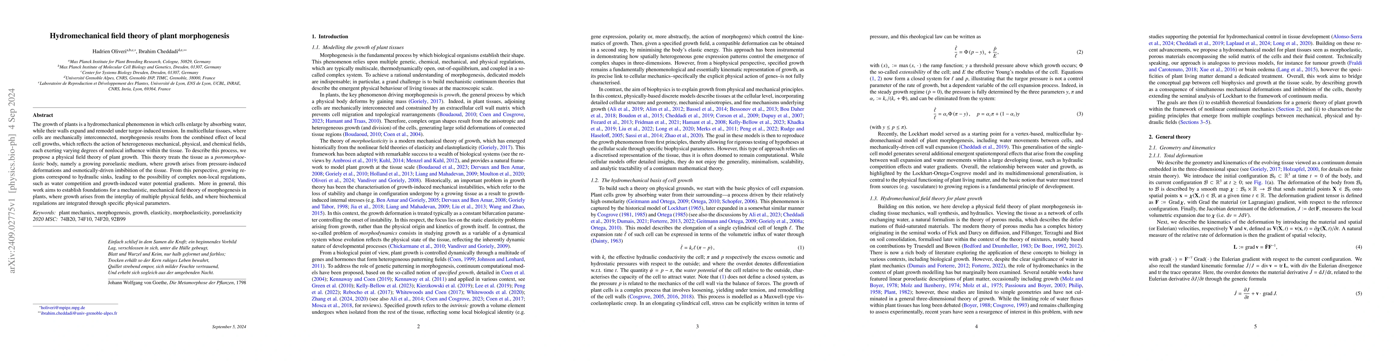 Thumbnail for Hydromechanical field theory of plant morphogenesis