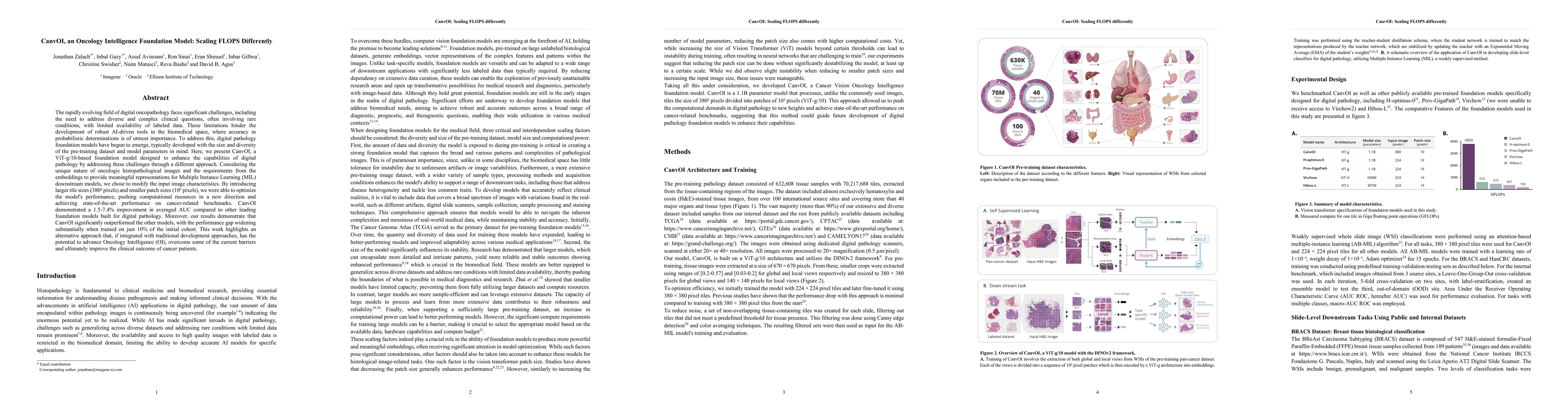 Thumbnail for CanvOI, an Oncology Intelligence Foundation Model: Scaling FLOPS
  Differently