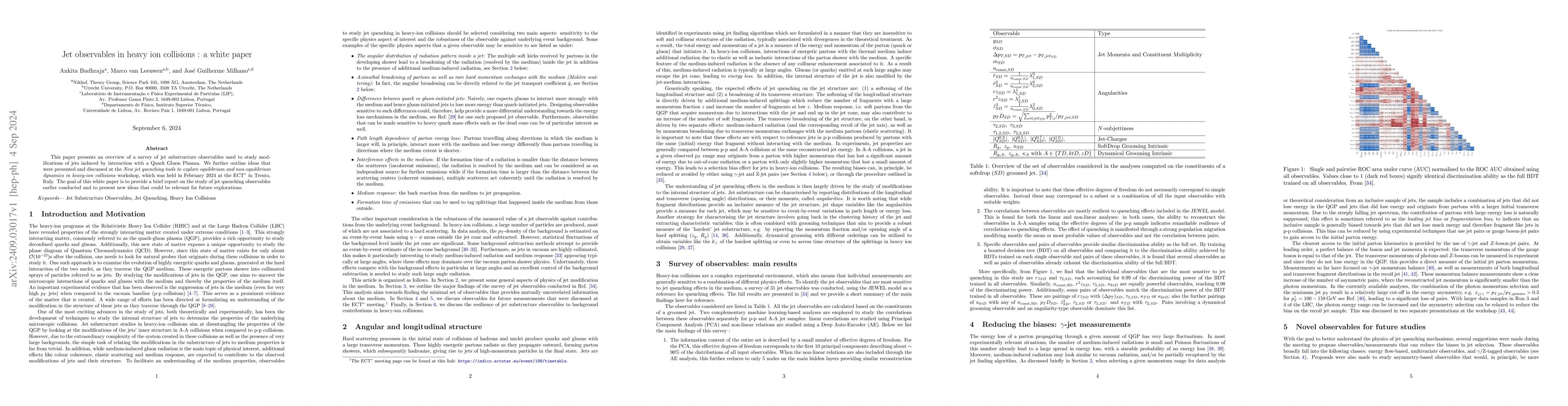 Thumbnail for Jet observables in heavy ion collisions : a white paper