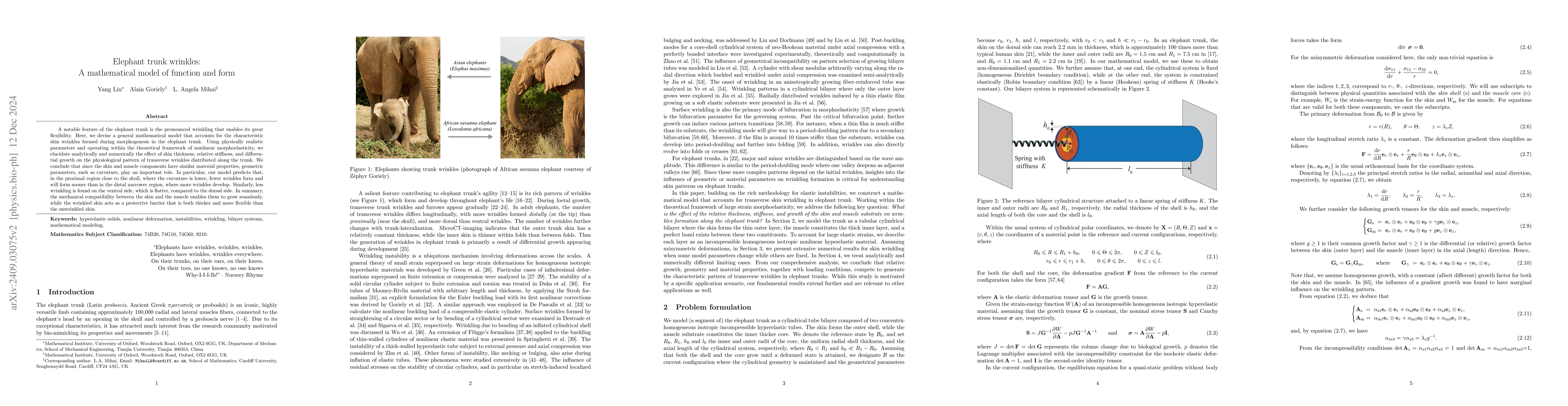 Thumbnail for Elephant trunk wrinkles: A mathematical model of function and form