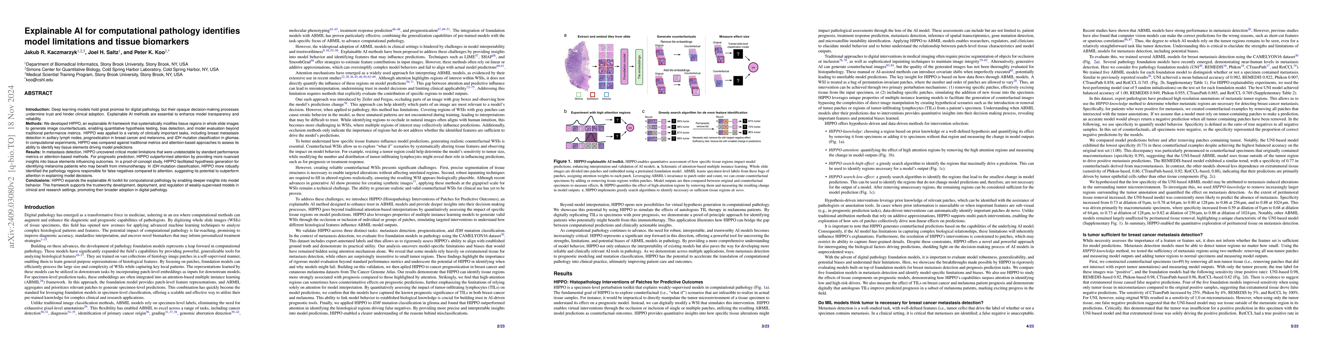 Thumbnail for Explainable AI for computational pathology identifies model limitations
  and tissue biomarkers