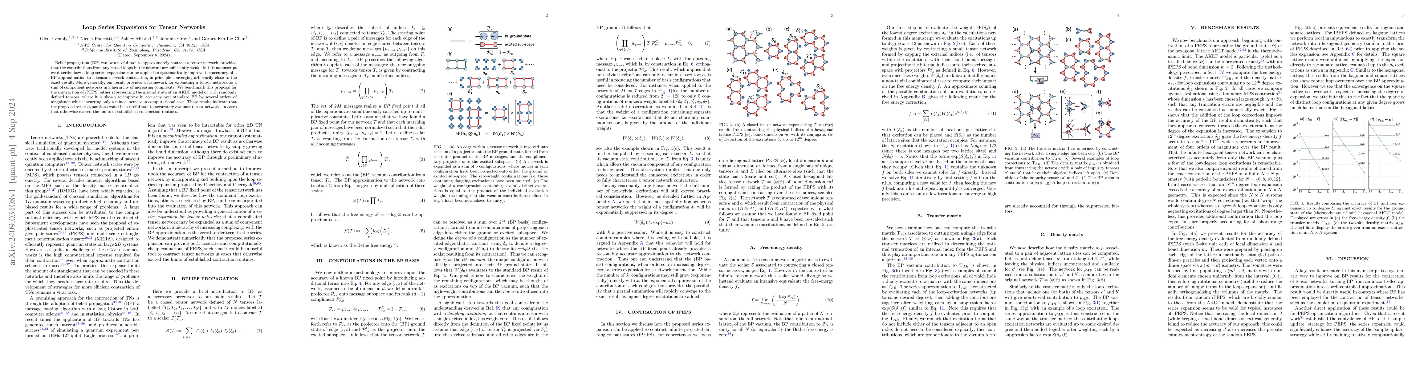 Thumbnail for Loop Series Expansions for Tensor Networks