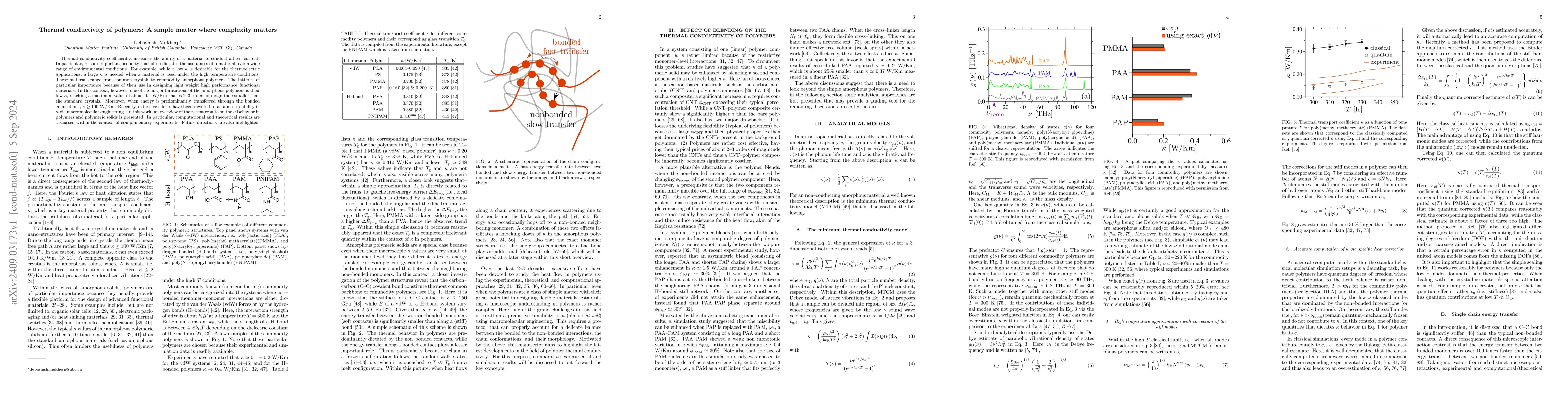 Thumbnail for Thermal conductivity of polymers: A simple matter where complexity
  matters