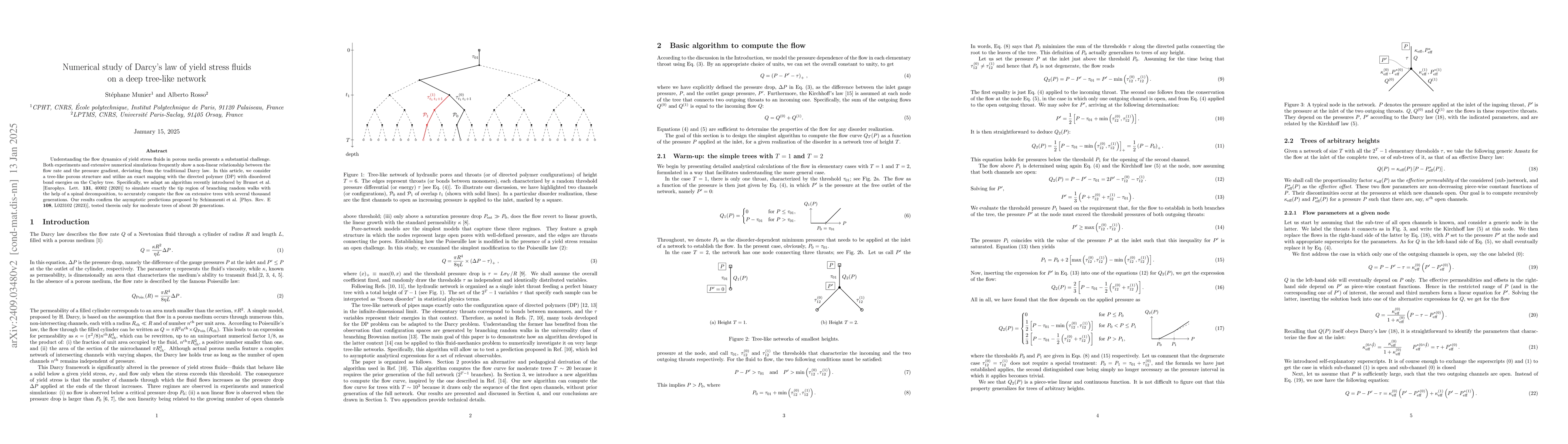 Thumbnail for Numerical study of Darcy's law of yield stress fluids on a deep
  tree-like network