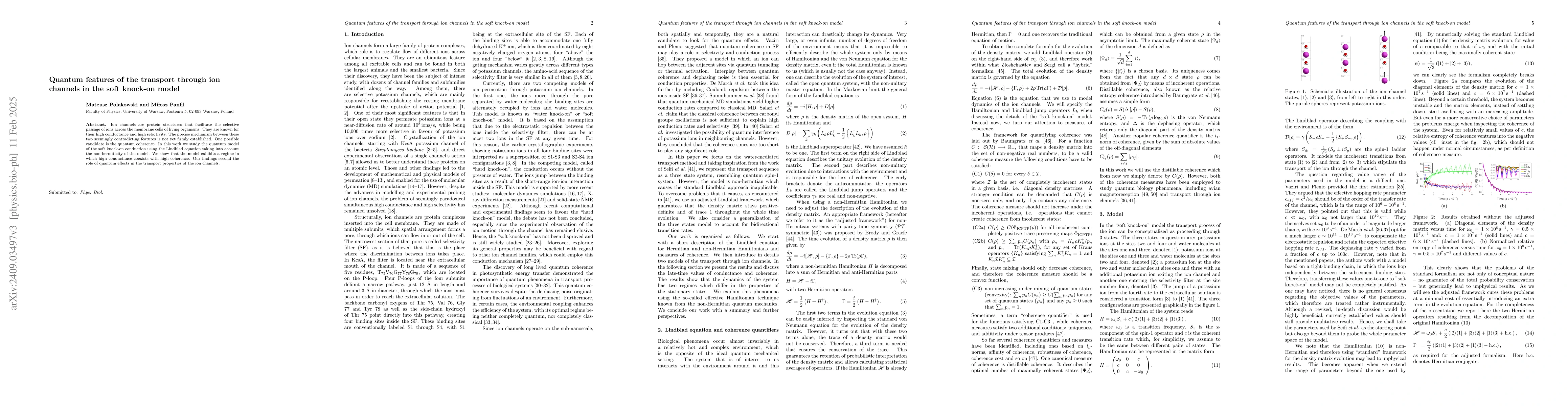 Thumbnail for Quantum features of the transport through ion channels in the soft
  knock-on model