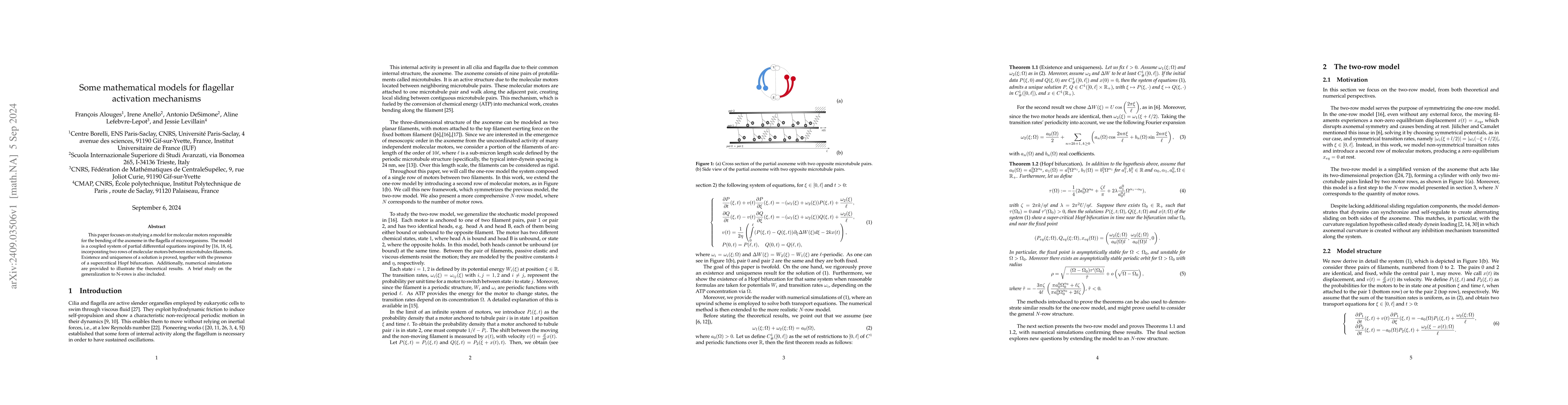 Thumbnail for Some mathematical models for flagellar activation mechanisms