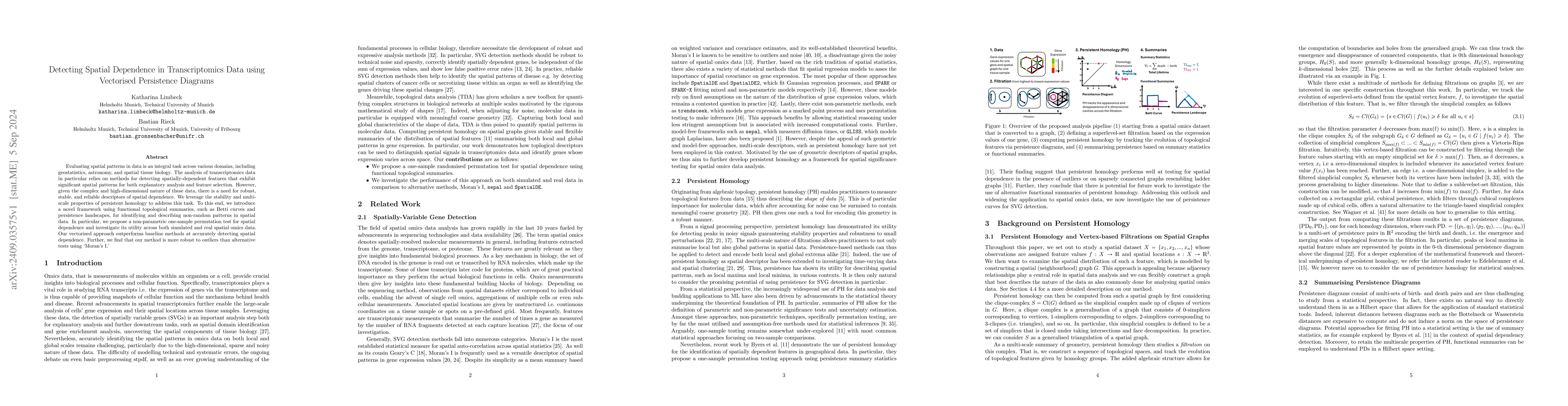 Thumbnail for Detecting Spatial Dependence in Transcriptomics Data using Vectorised
  Persistence Diagrams