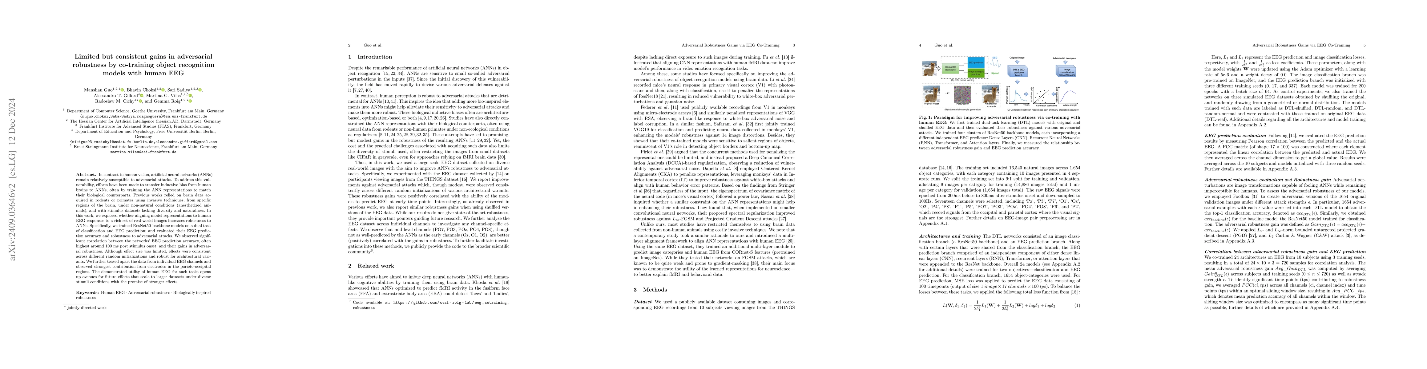 Thumbnail for Limited but consistent gains in adversarial robustness by co-training
  object recognition models with human EEG