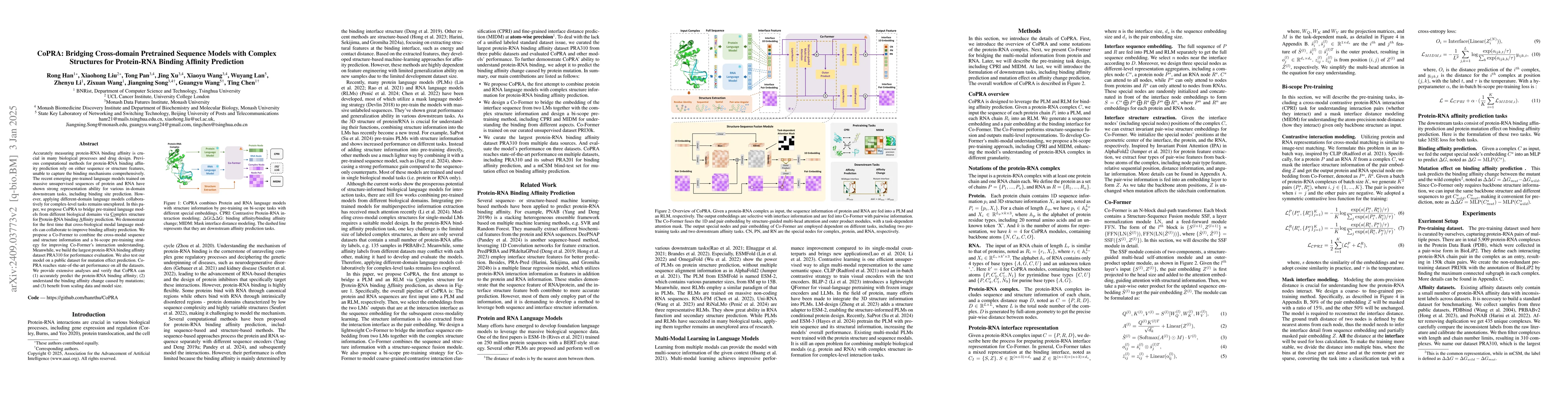 Thumbnail for CoPRA: Bridging Cross-domain Pretrained Sequence Models with Complex
  Structures for Protein-RNA Binding Affinity Prediction