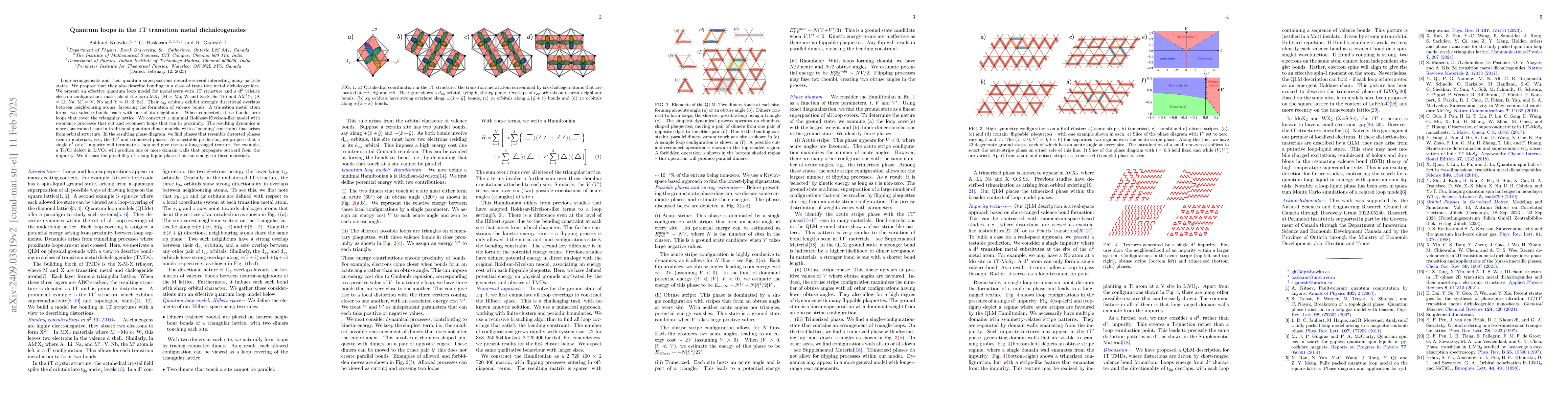 Thumbnail for Quantum loops in the 1T-transition metal dichalcogenides