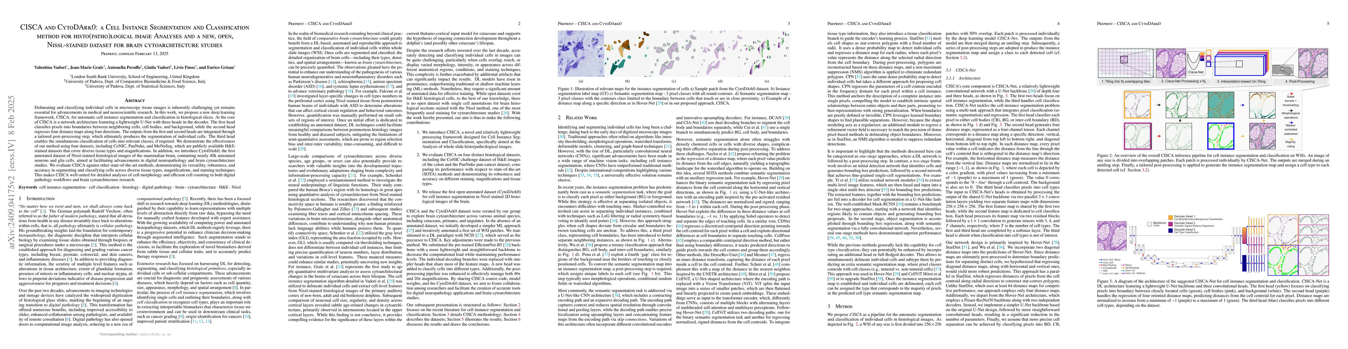 Thumbnail for CISCA and CytoDArk0: a Cell Instance Segmentation and Classification
  method for histo(patho)logical image Analyses and a new, open, Nissl-stained
  dataset for brain cytoarchitecture studies