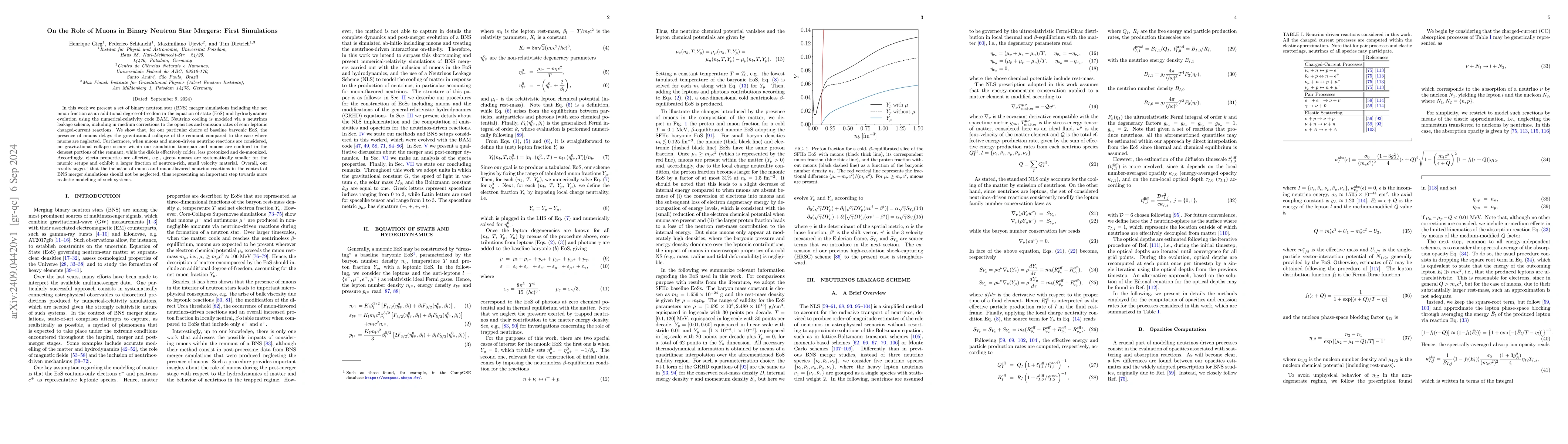 Thumbnail for On the Role of Muons in Binary Neutron Star Mergers: First Simulations
