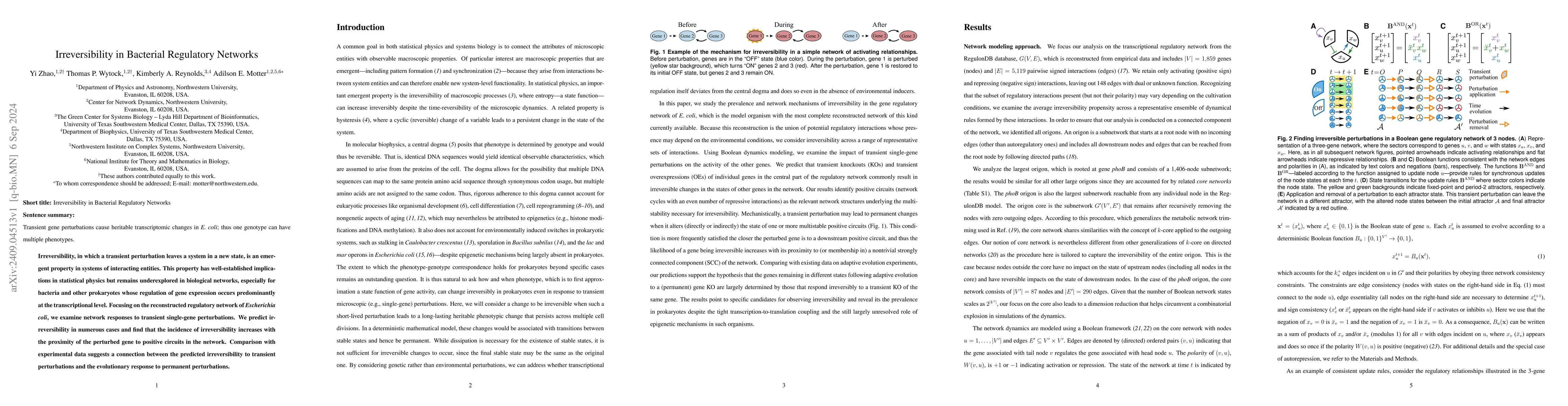 Thumbnail for Irreversibility in Bacterial Regulatory Networks