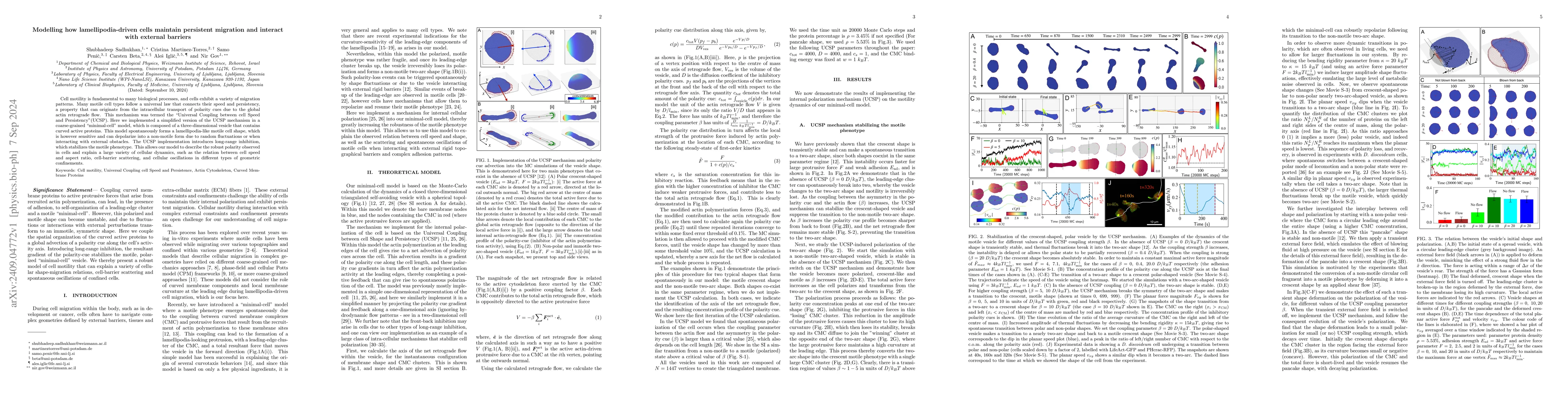 Thumbnail for Modelling how lamellipodia-driven cells maintain persistent migration
  and interact with external barriers