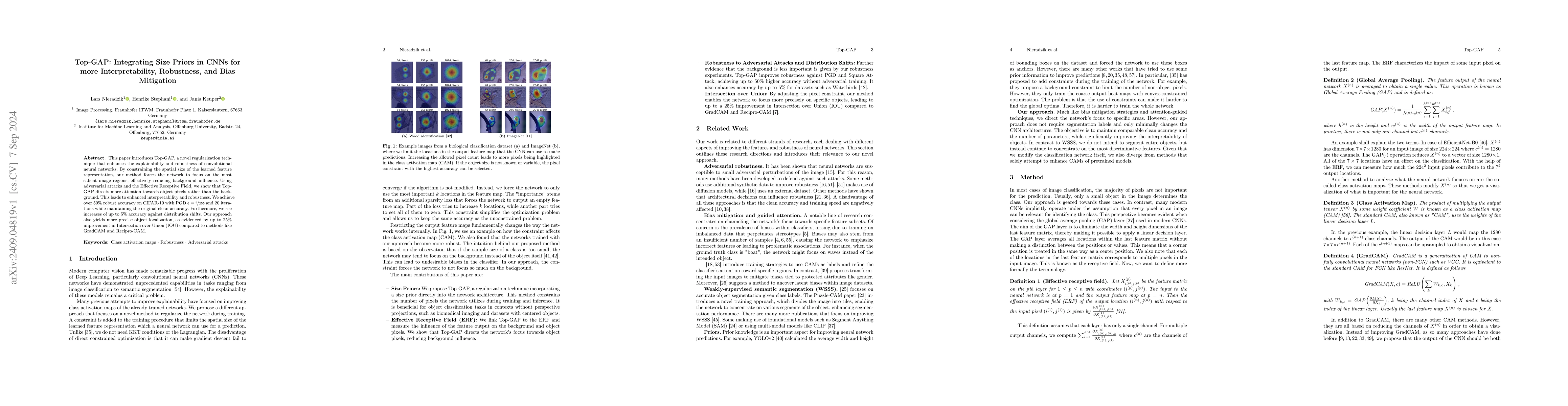 Thumbnail for Top-GAP: Integrating Size Priors in CNNs for more Interpretability,
  Robustness, and Bias Mitigation