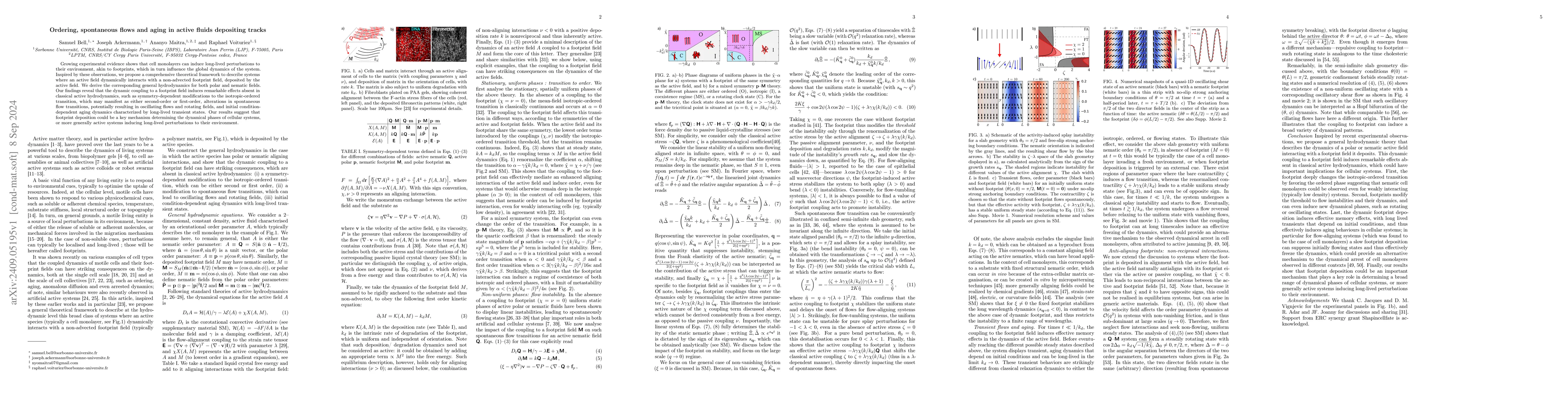 Thumbnail for Ordering, spontaneous flows and aging in active fluids depositing tracks