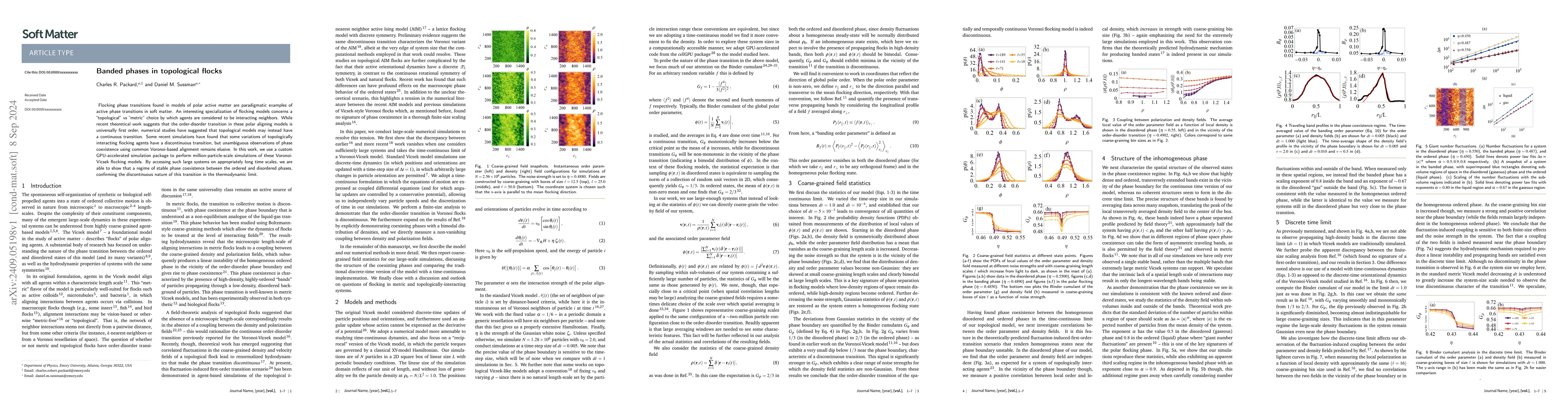 Thumbnail for Banded phases in topological flocks