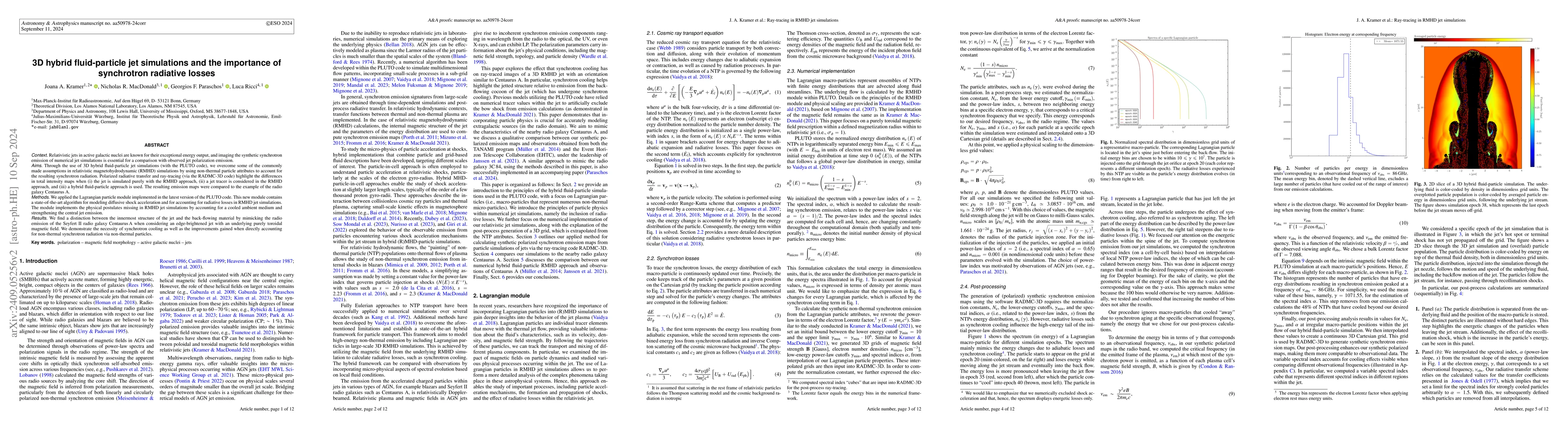 Thumbnail for 3D hybrid fluid-particle jet simulations and the importance of
  synchrotron radiative losses