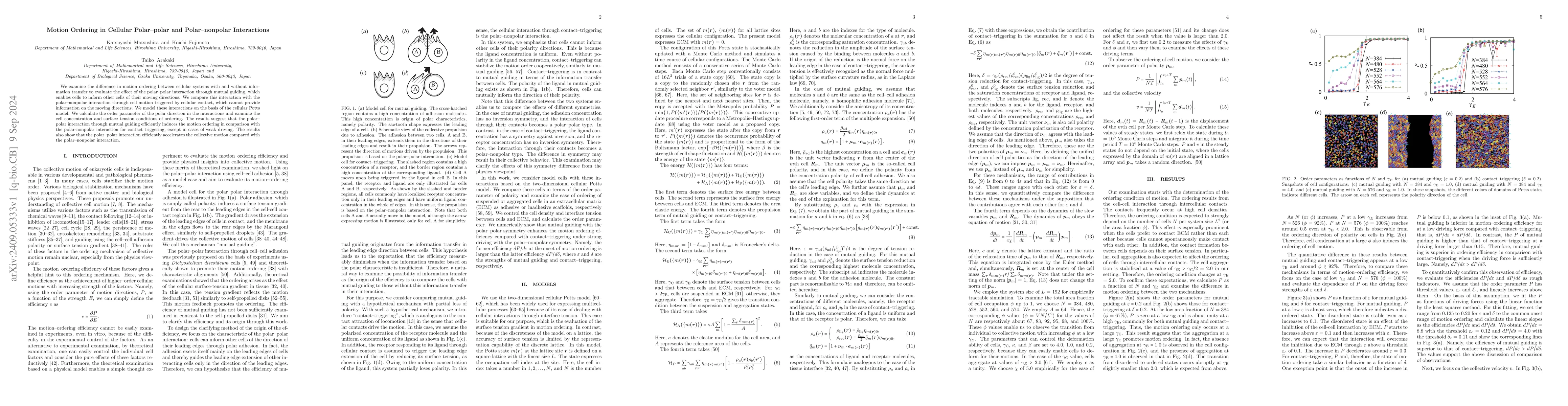 Thumbnail for Motion Ordering in Cellular Polar-polar and Polar-nonpolar Interactions