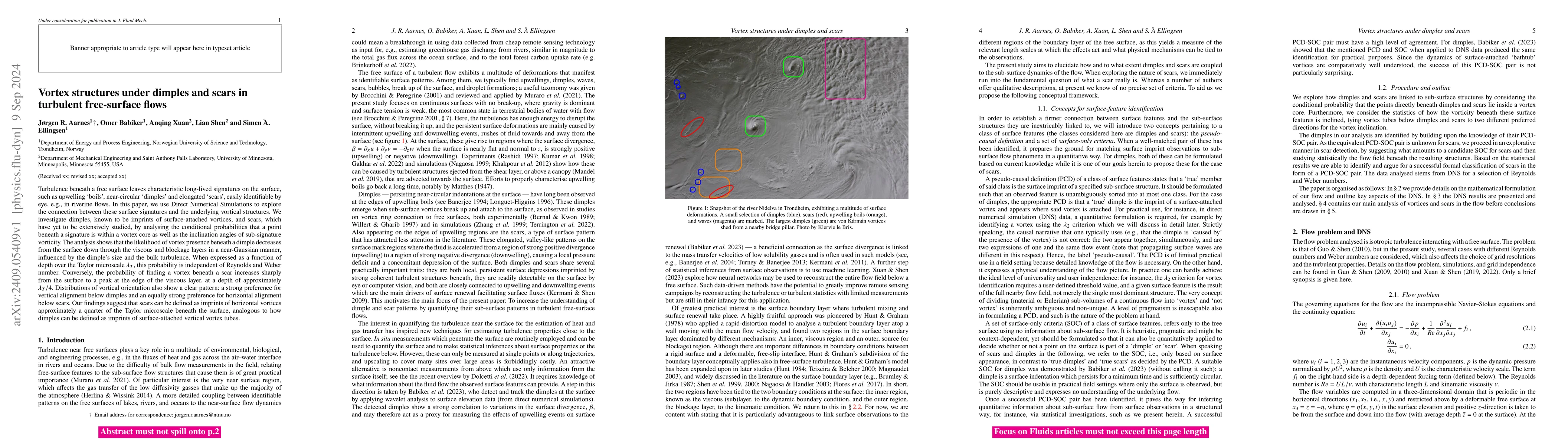 Thumbnail for Vortex structures under dimples and scars in turbulent free-surface
  flows