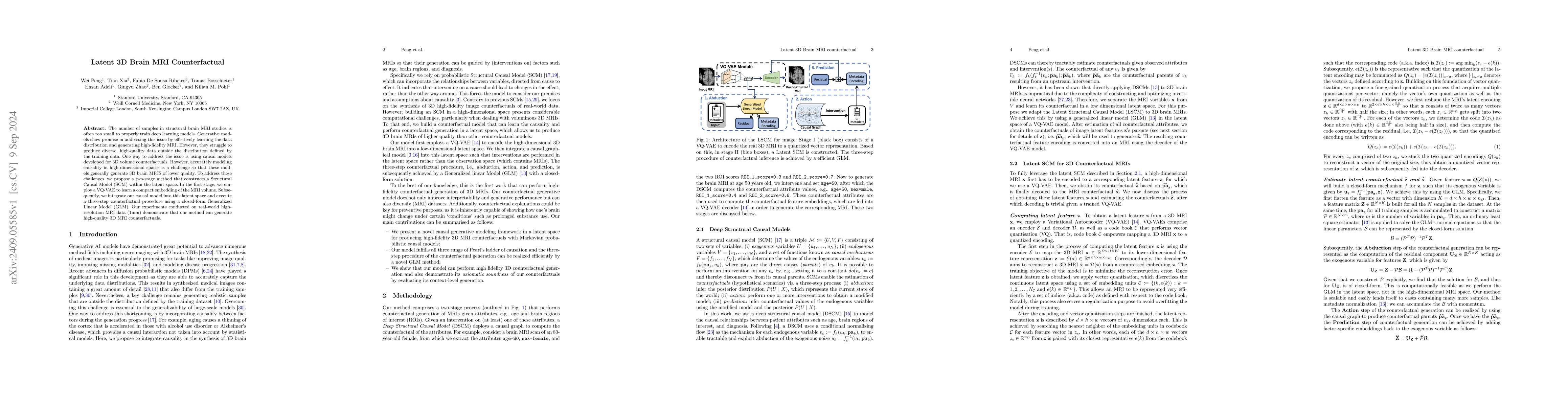Thumbnail for Latent 3D Brain MRI Counterfactual
