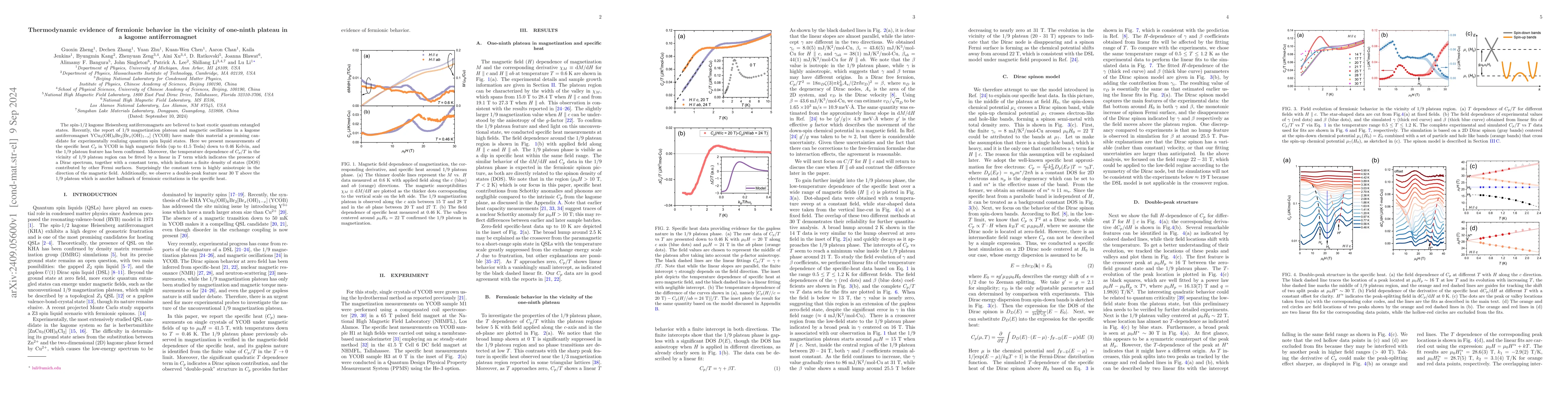 Thumbnail for Thermodynamic evidence of fermionic behavior in the vicinity of
  one-ninth plateau in a kagome antiferromagnet