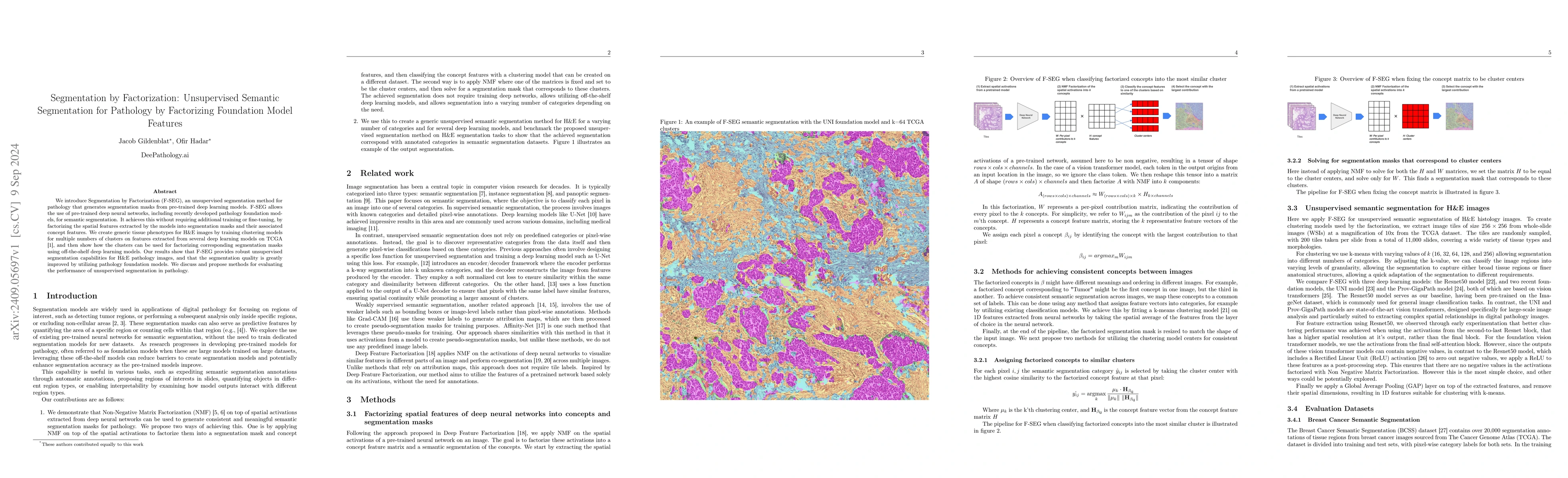 Thumbnail for Segmentation by Factorization: Unsupervised Semantic Segmentation for
  Pathology by Factorizing Foundation Model Features