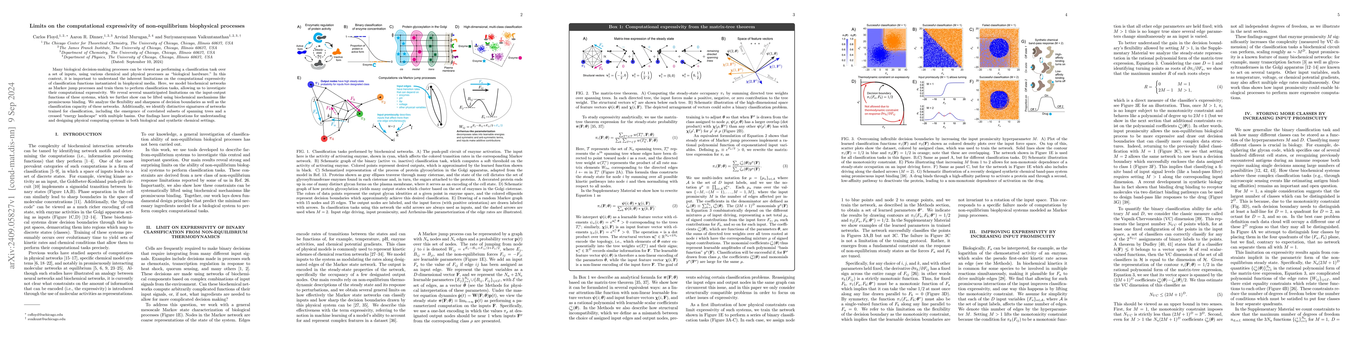 Thumbnail for Limits on the computational expressivity of non-equilibrium biophysical
  processes