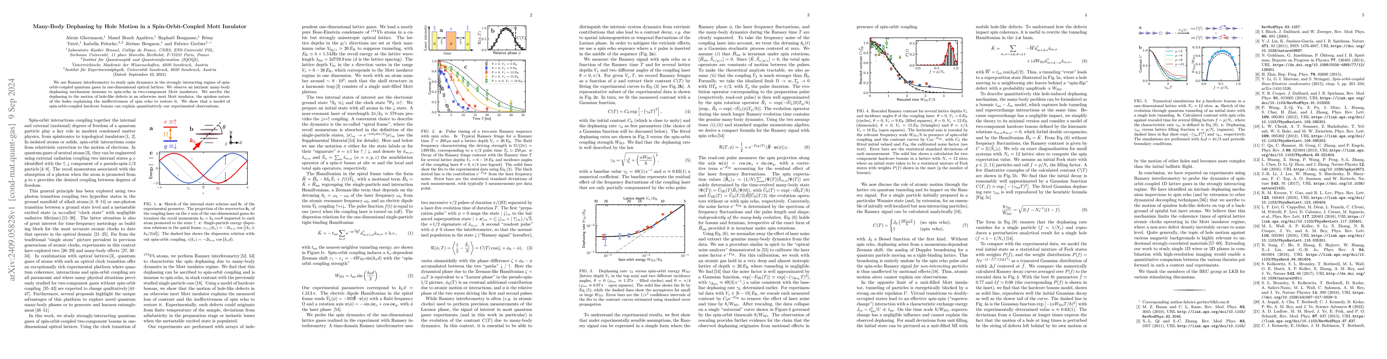 Thumbnail for Many-Body Dephasing by Hole Motion in a Spin-Orbit-Coupled Mott
  Insulator