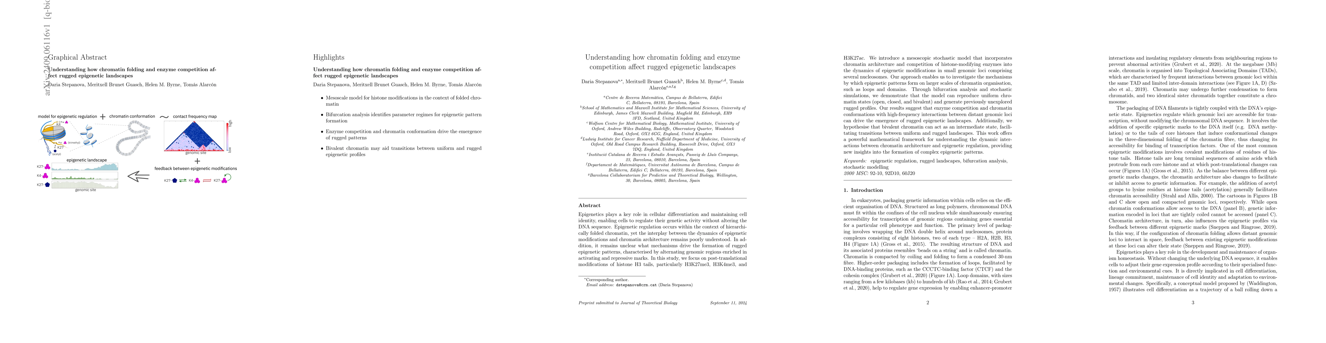 Thumbnail for Understanding how chromatin folding and enzyme competition affect rugged
  epigenetic landscapes
