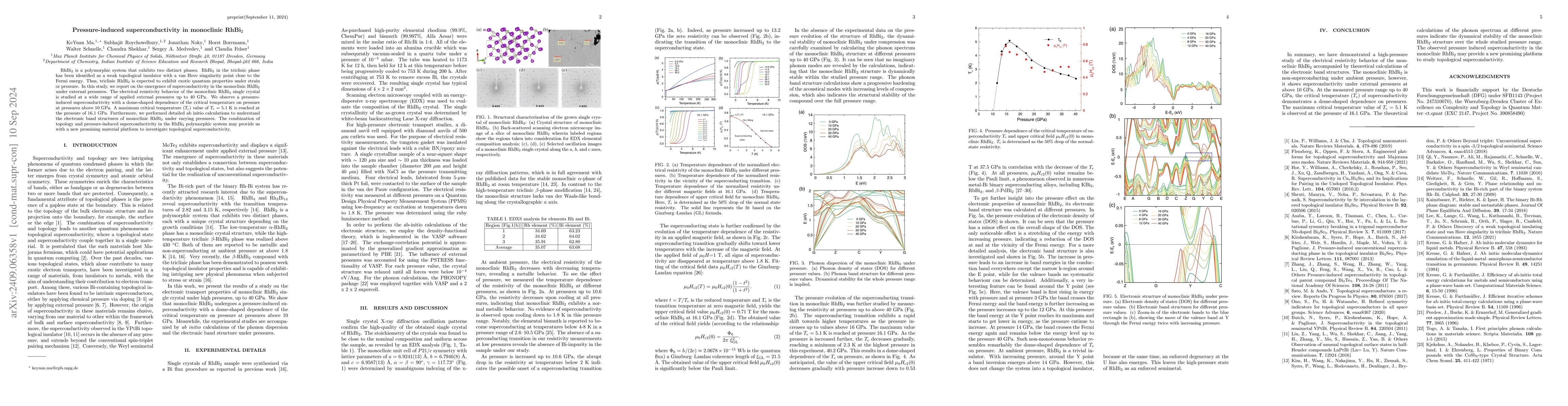 Thumbnail for Pressure-induced superconductivity in monoclinic RhBi$_2$