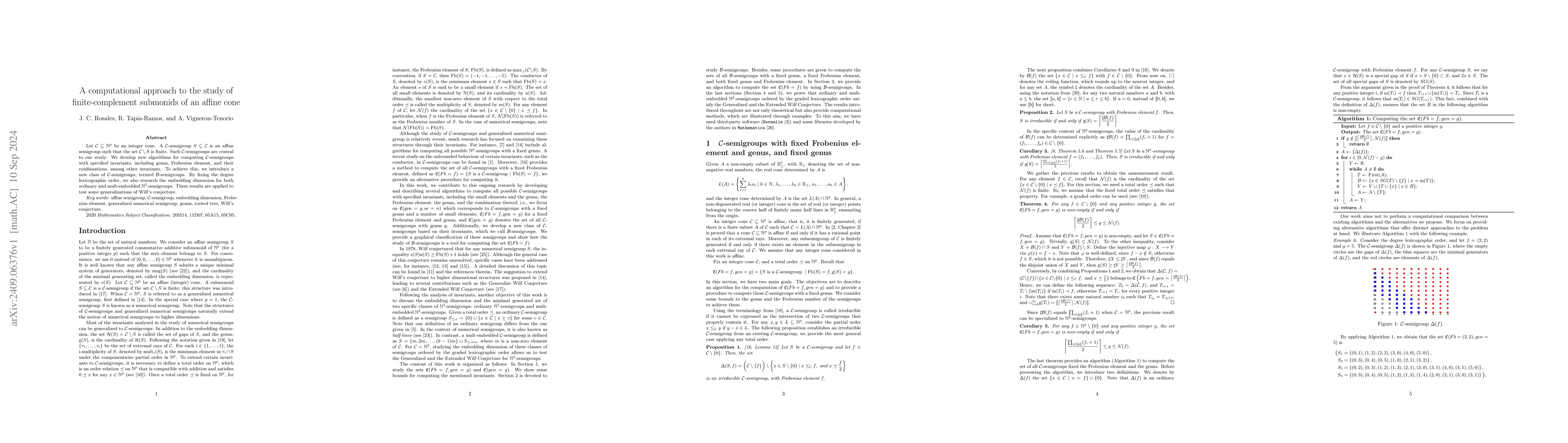 Thumbnail for A computational approach to the study of finite-complement submonids of
  an affine cone