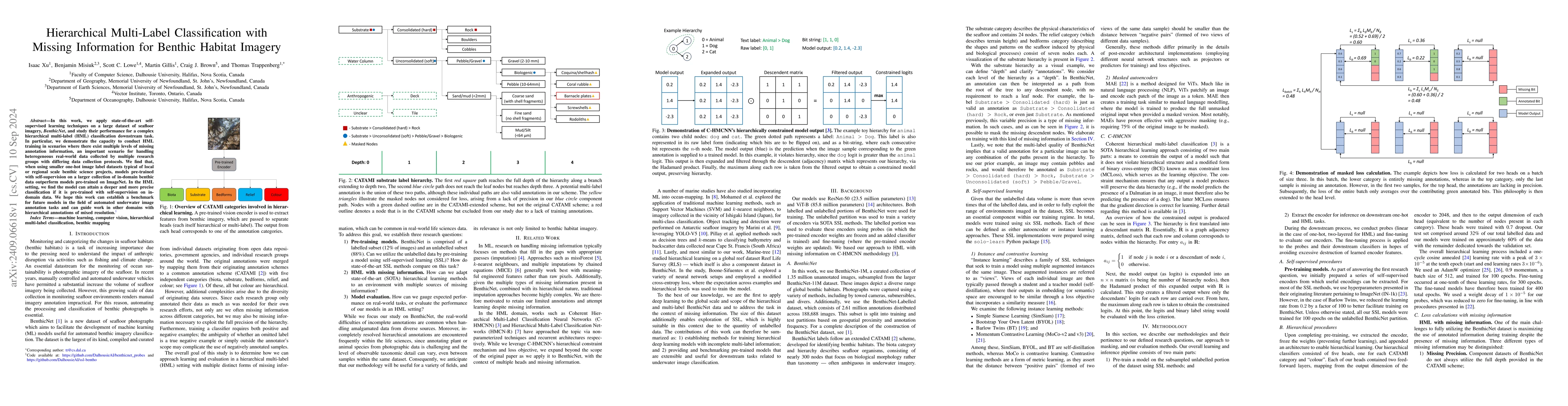 Thumbnail for Hierarchical Multi-Label Classification with Missing Information for
  Benthic Habitat Imagery